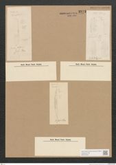 Diatomeae indet. Zeichnungen Sammlung Grunow Nr. 3273 (NHMW-BOT-W0370752)